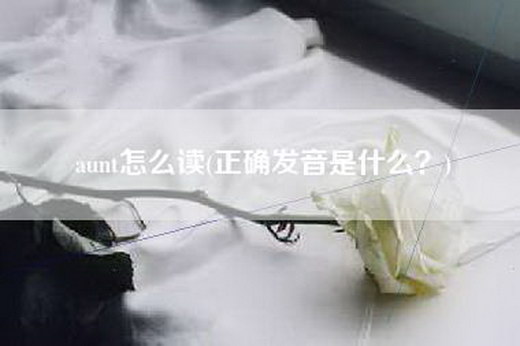 aunt怎么读(正确发音是什么？)