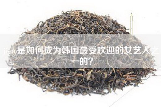 jisoo是如何成为韩国最受欢迎的女艺人之一的？
