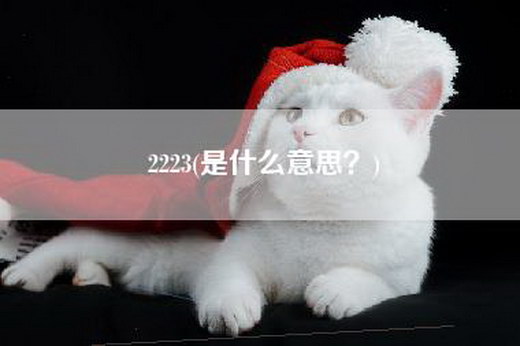 2223(是什么意思？)