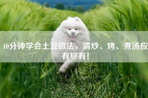 10分钟学会土豆做法，清炒、烤、煮汤应有尽有！