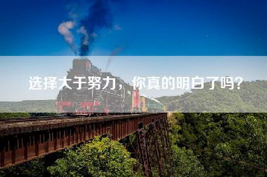 选择大于努力，你真的明白了吗？