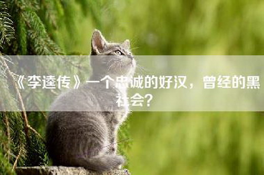 《李逵传》一个忠诚的好汉，曾经的黑社会？
