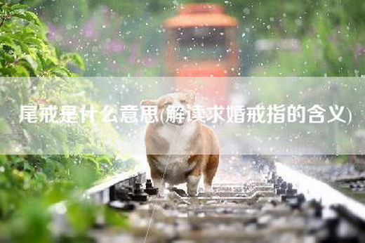 尾戒是什么意思(解读求婚戒指的含义)