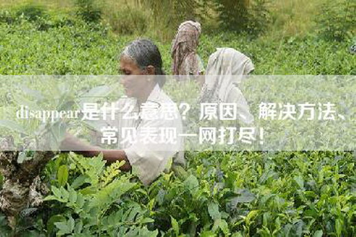 disappear是什么意思？原因、解决方法、常见表现一网打尽！