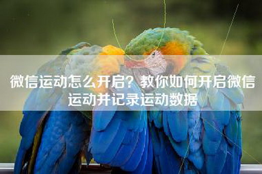 微信运动怎么开启？教你如何开启微信运动并记录运动数据