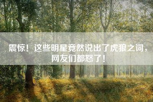 震惊！这些明星竟然说出了虎狼之词，网友们都怒了！