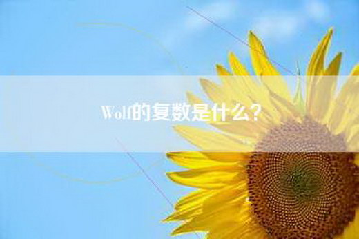 Wolf的复数是什么？