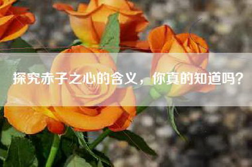 探究赤子之心的含义，你真的知道吗？