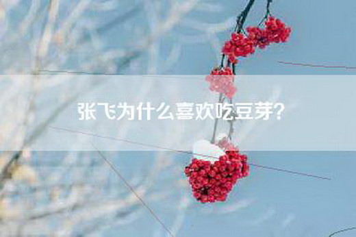 张飞为什么喜欢吃豆芽？
