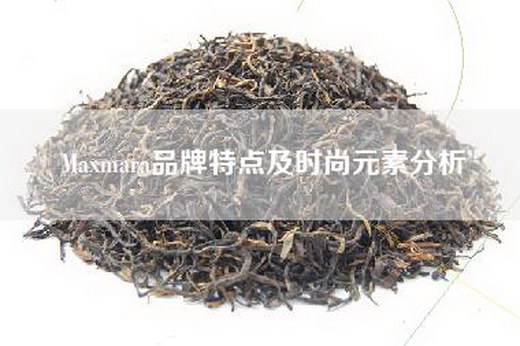 Maxmara品牌特点及时尚元素分析