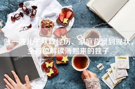 薄一波儿子从政经历、家庭背景到现状，全方位解读薄熙来的独子