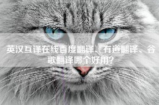 英汉互译在线百度翻译、有道翻译、谷歌翻译哪个好用？