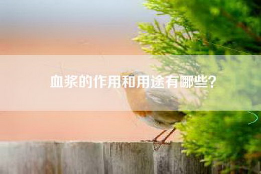 血浆的作用和用途有哪些？