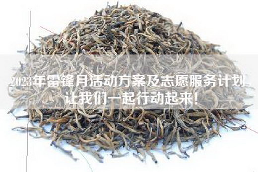 2023年雷锋月活动方案及志愿服务计划，让我们一起行动起来！