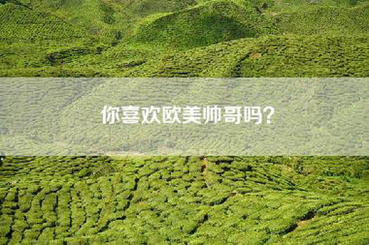 你喜欢欧美帅哥吗？