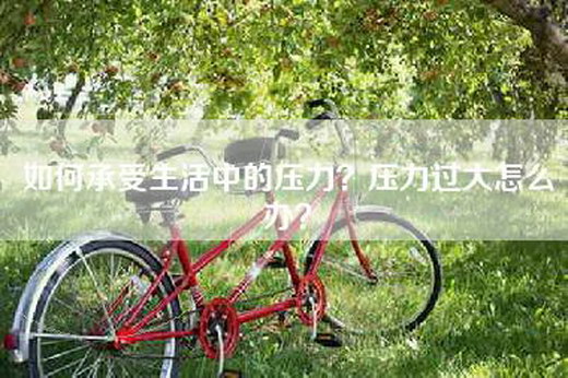 如何承受生活中的压力？压力过大怎么办？
