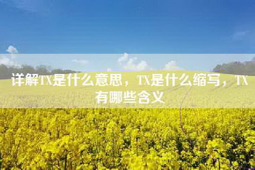 详解TX是什么意思，TX是什么缩写，TX有哪些含义