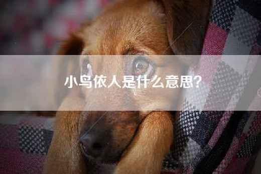 小鸟依人是什么意思？
