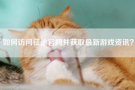 如何访问征途官网并获取最新游戏资讯？