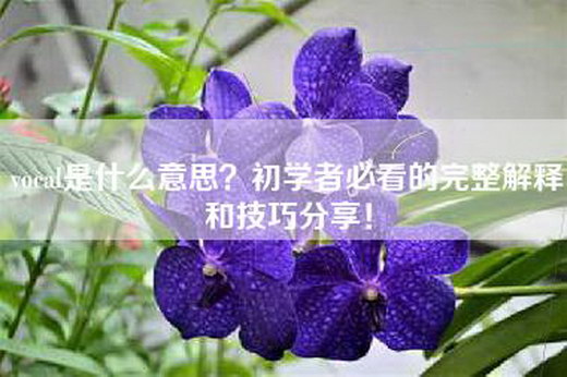 vocal是什么意思？初学者必看的完整解释和技巧分享！