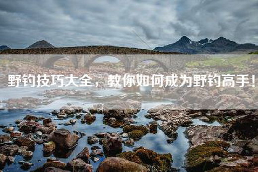野钓技巧大全，教你如何成为野钓高手！