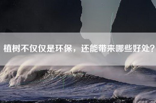 植树不仅仅是环保，还能带来哪些好处？