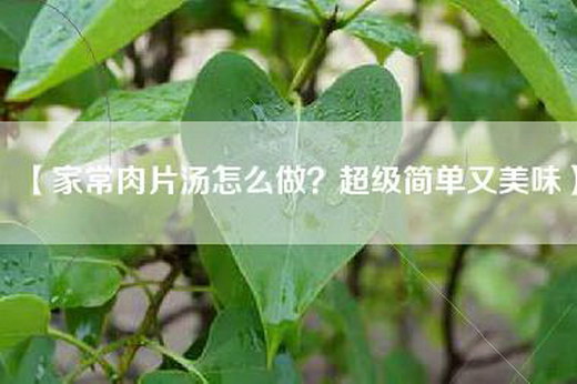 【家常肉片汤怎么做？超级简单又美味】