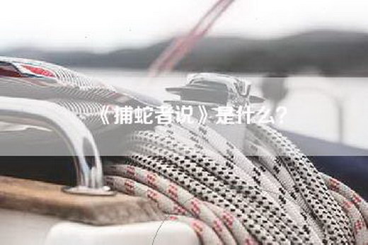 《捕蛇者说》是什么？
