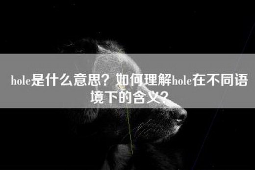 hole是什么意思？如何理解hole在不同语境下的含义？