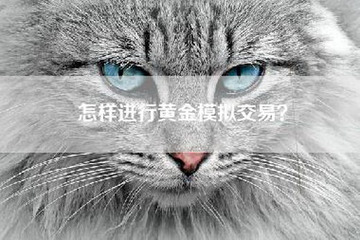 怎样进行黄金模拟交易？