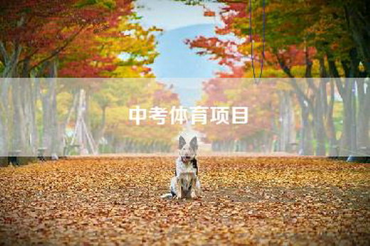 中考体育项目