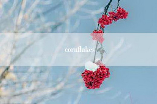 cornflakes