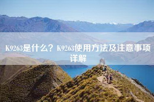 K9263是什么？K9263使用方法及注意事项详解