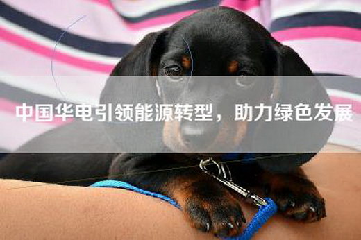 中国华电引领能源转型，助力绿色发展