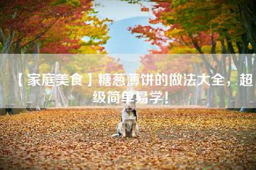 【家庭美食】糖葱薄饼的做法大全，超级简单易学！