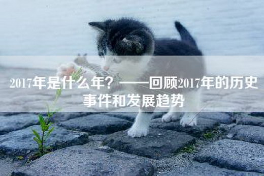 2017年是什么年？——回顾2017年的历史事件和发展趋势