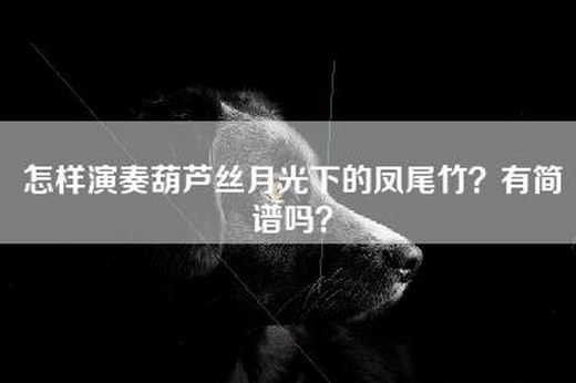 怎样演奏葫芦丝月光下的凤尾竹？有简谱吗？