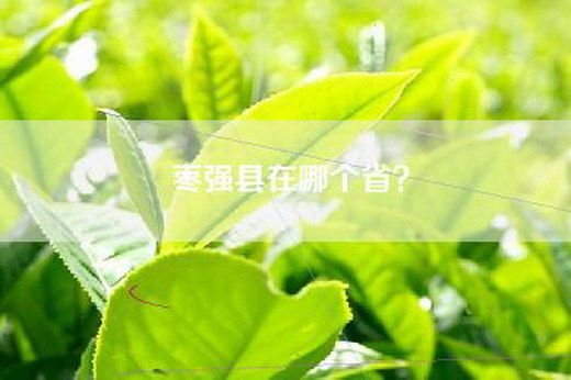 枣强县在哪个省？