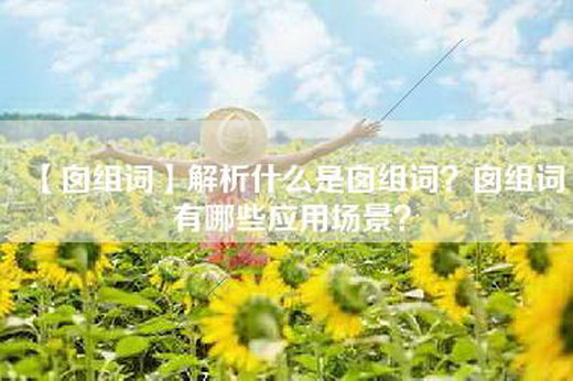 【囱组词】解析什么是囱组词？囱组词有哪些应用场景？