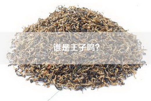谁是王子鸣？