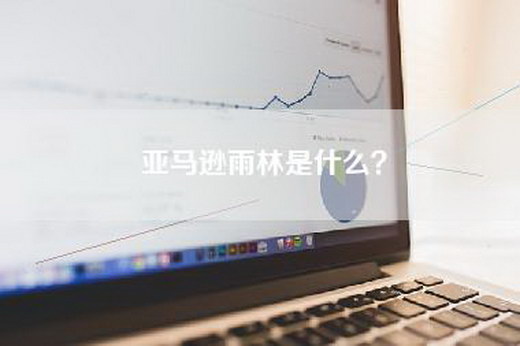 亚马逊雨林是什么？