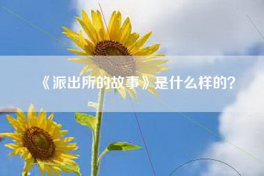 《派出所的故事》是什么样的？