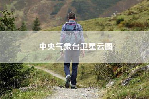 中央气象台卫星云图