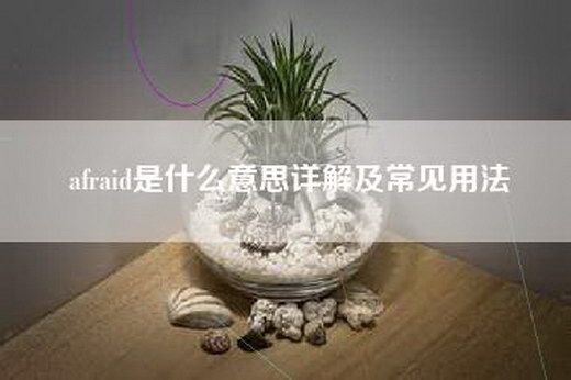 afraid是什么意思详解及常见用法