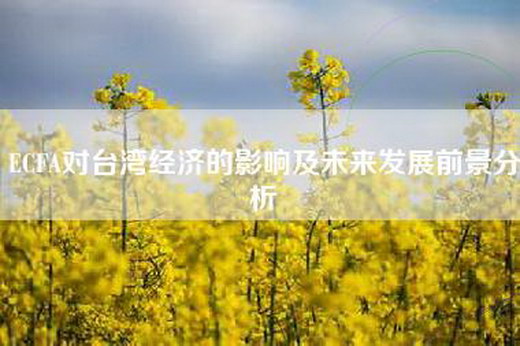 ECFA对台湾经济的影响及未来发展前景分析