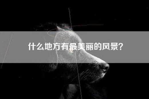 什么地方有最美丽的风景？
