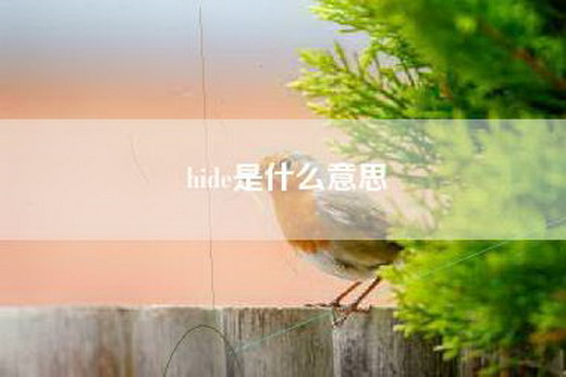 hide是什么意思