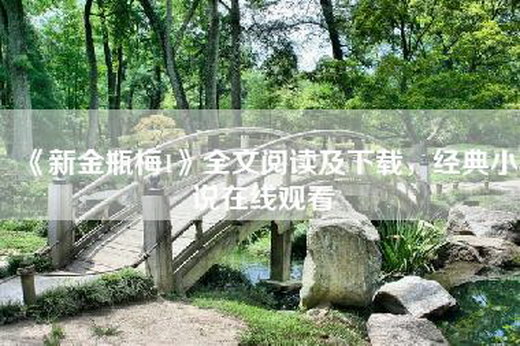 《新金瓶梅1》全文阅读及下载，经典小说在线观看