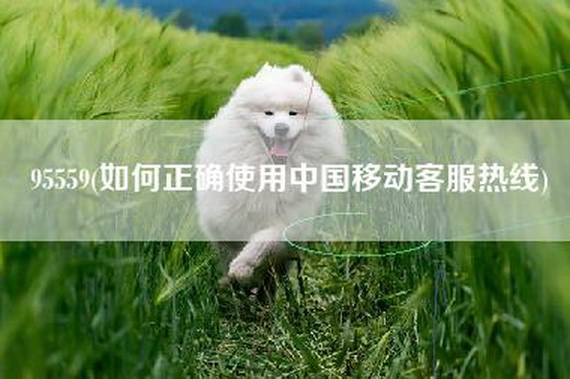 95559(如何正确使用中国移动客服热线)