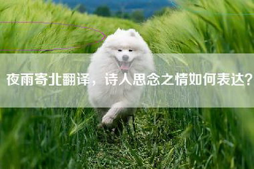 夜雨寄北翻译，诗人思念之情如何表达？